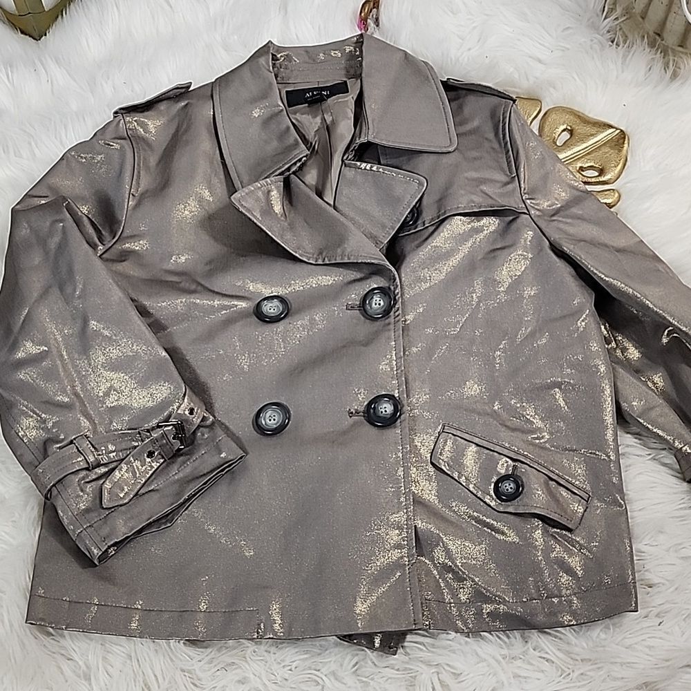 Metallic Gray Pewter Bronze Boxy Coat with Pleated Back Mad Max Moto
